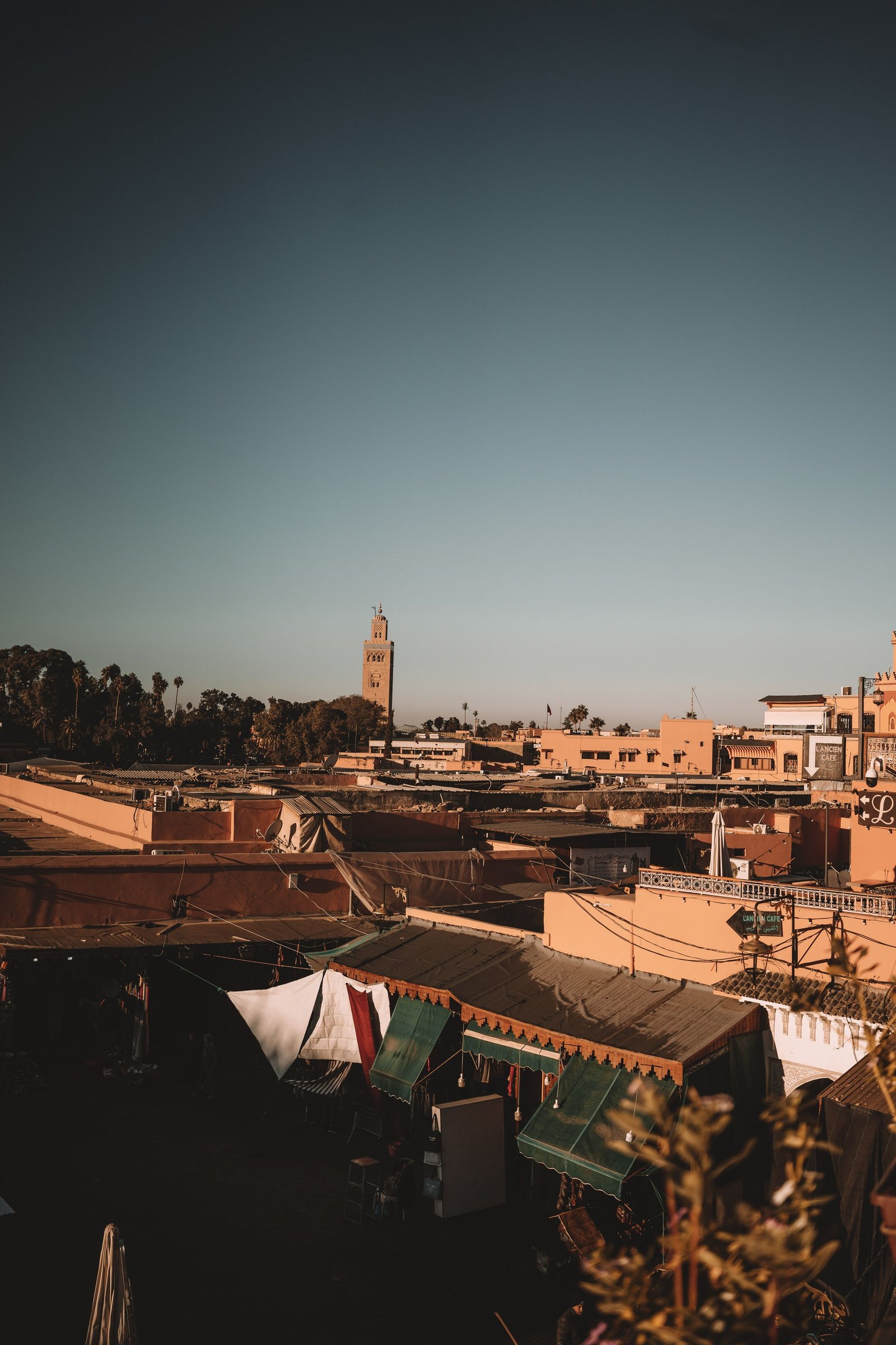 Alma Tourisme
